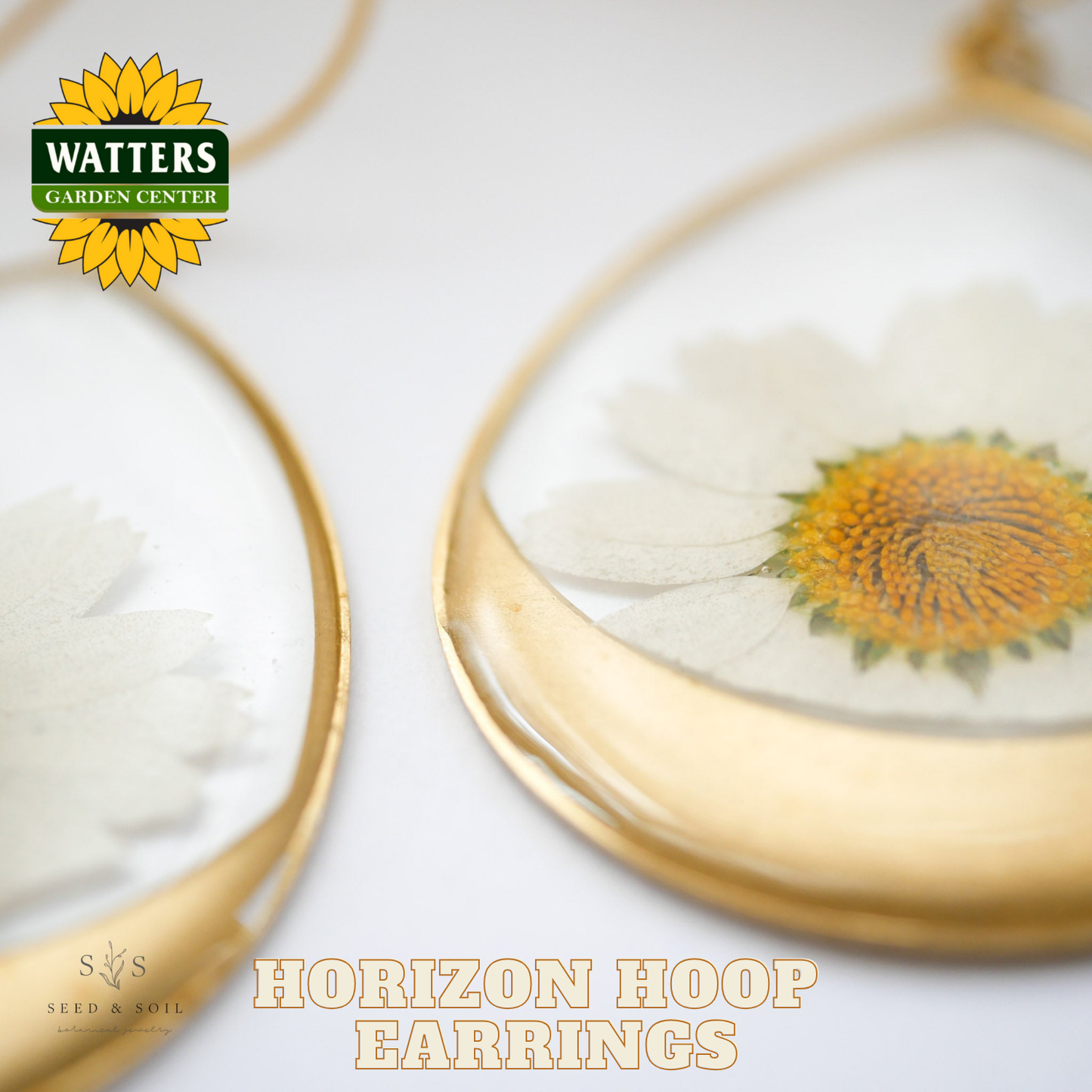 Horizon hoop earrings with a sunflower design on a white background, featuring Watters Garden Center logo.