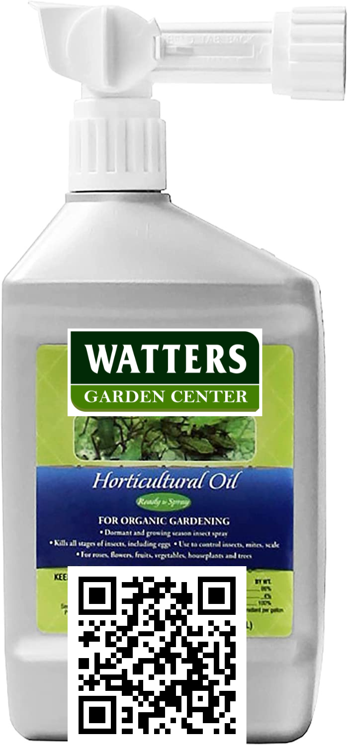 HORTICULTURAL OIL READY TO SPRAY 32oz