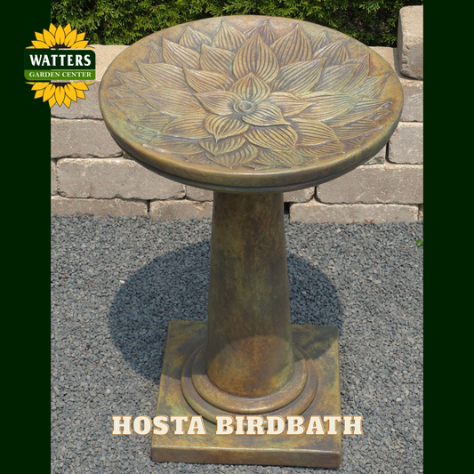 Decorative hosta birdbath with Watters Garden Center branding on a stone patio.