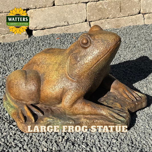 A large bronze-finished frog garden statue shown sitting on gray gravel outdoors, with a Watters Garden Center logo in the top-left corner and the text 'LARGE FROG STATUE' across the bottom.