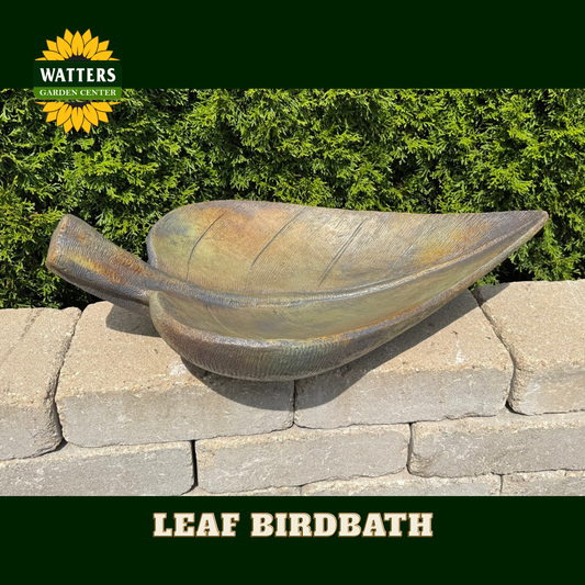 LEAF BIRDBATH