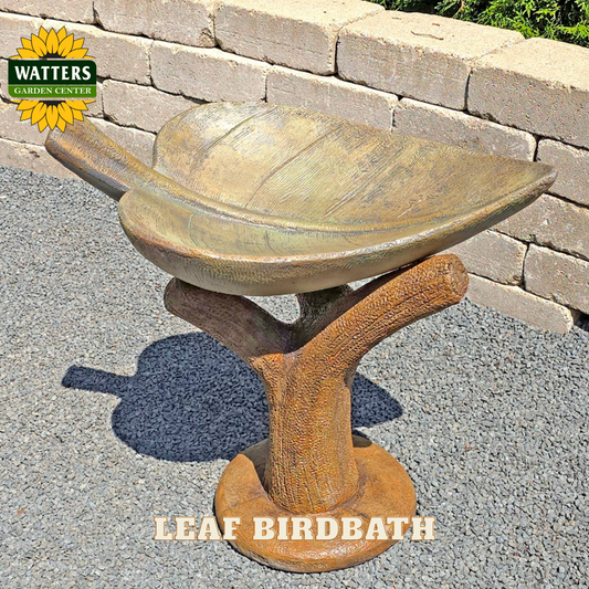 Leaf-shaped birdbath with Watters Garden Center branding on a stone patio.