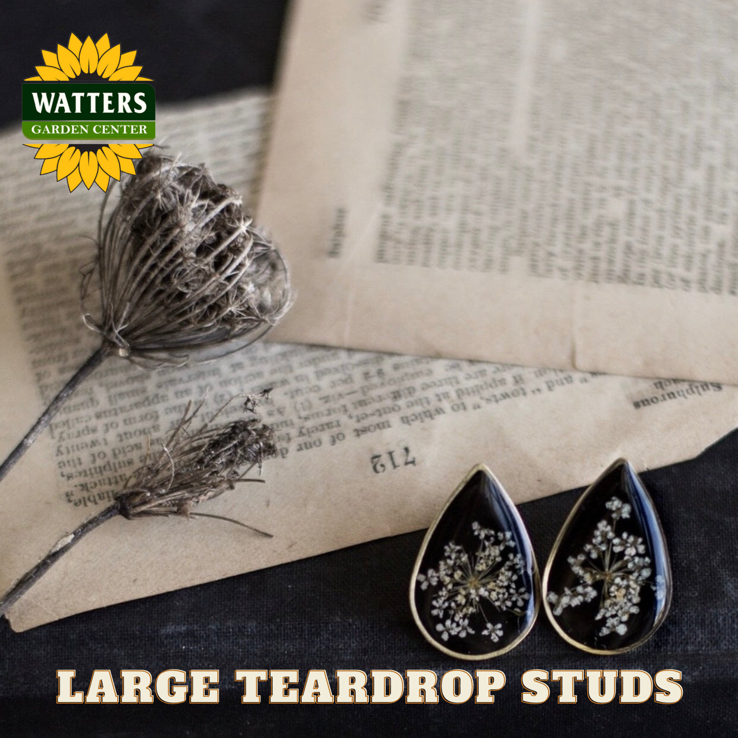 Large teardrop stud earrings with dried flowers on a newspaper background, featuring Watters Garden Center logo.