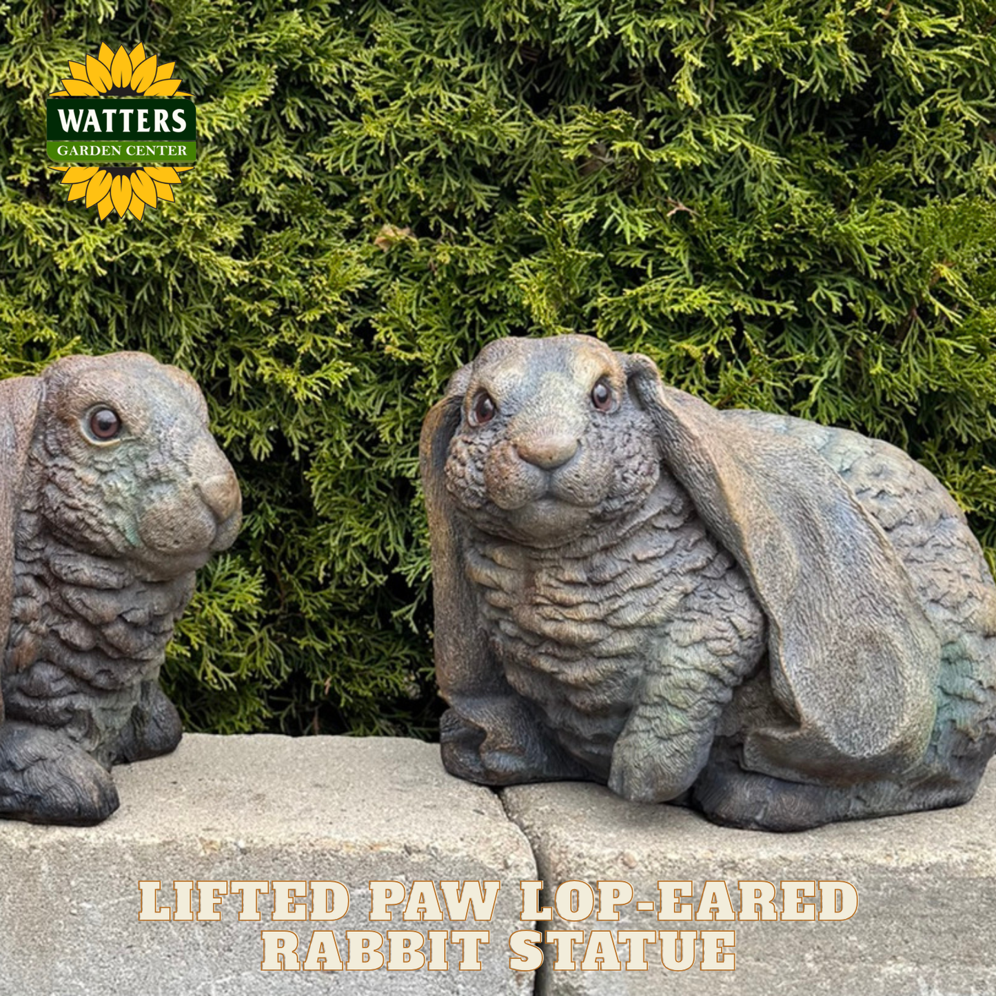 Lop eared rabbit statue in a garden setting with Watters branding.
