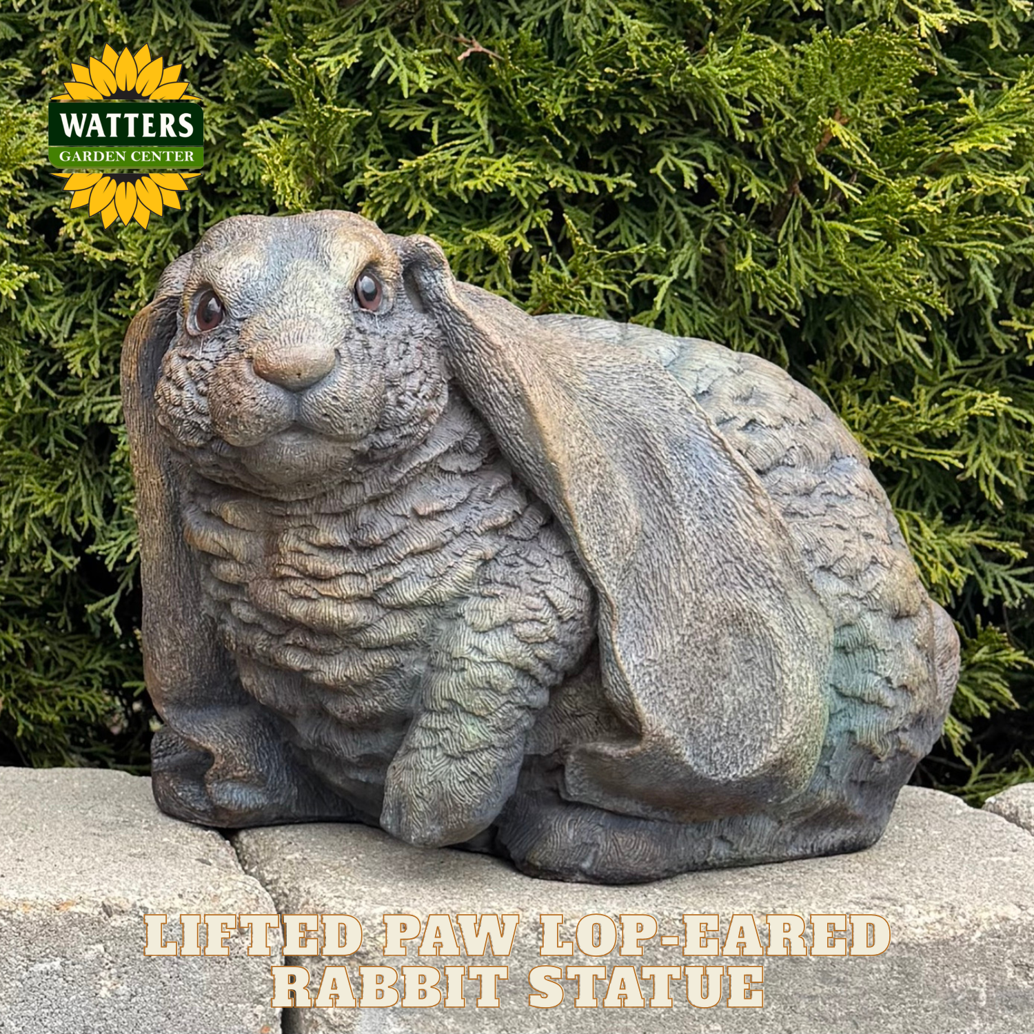 Lop eared rabbit statue in a garden setting with Watters branding.