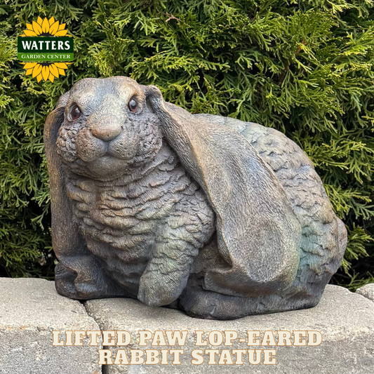 Lop eared rabbit statue in a garden setting with Watters branding.