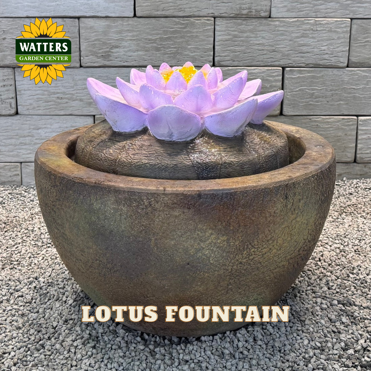 A Watters Garden Center Lotus Fountain with a purple lotus flower on a textured brown stone basin, set on gravel in front of a gray stone wall.