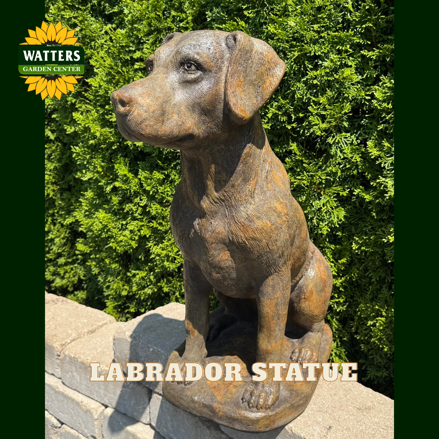 A bronze-colored Labrador dog statue sitting on a stone wall in front of a green hedge. The Watters Garden Center logo is visible in the top left corner, and the text 'LABRADOR STATUE' is overlaid at the bottom.