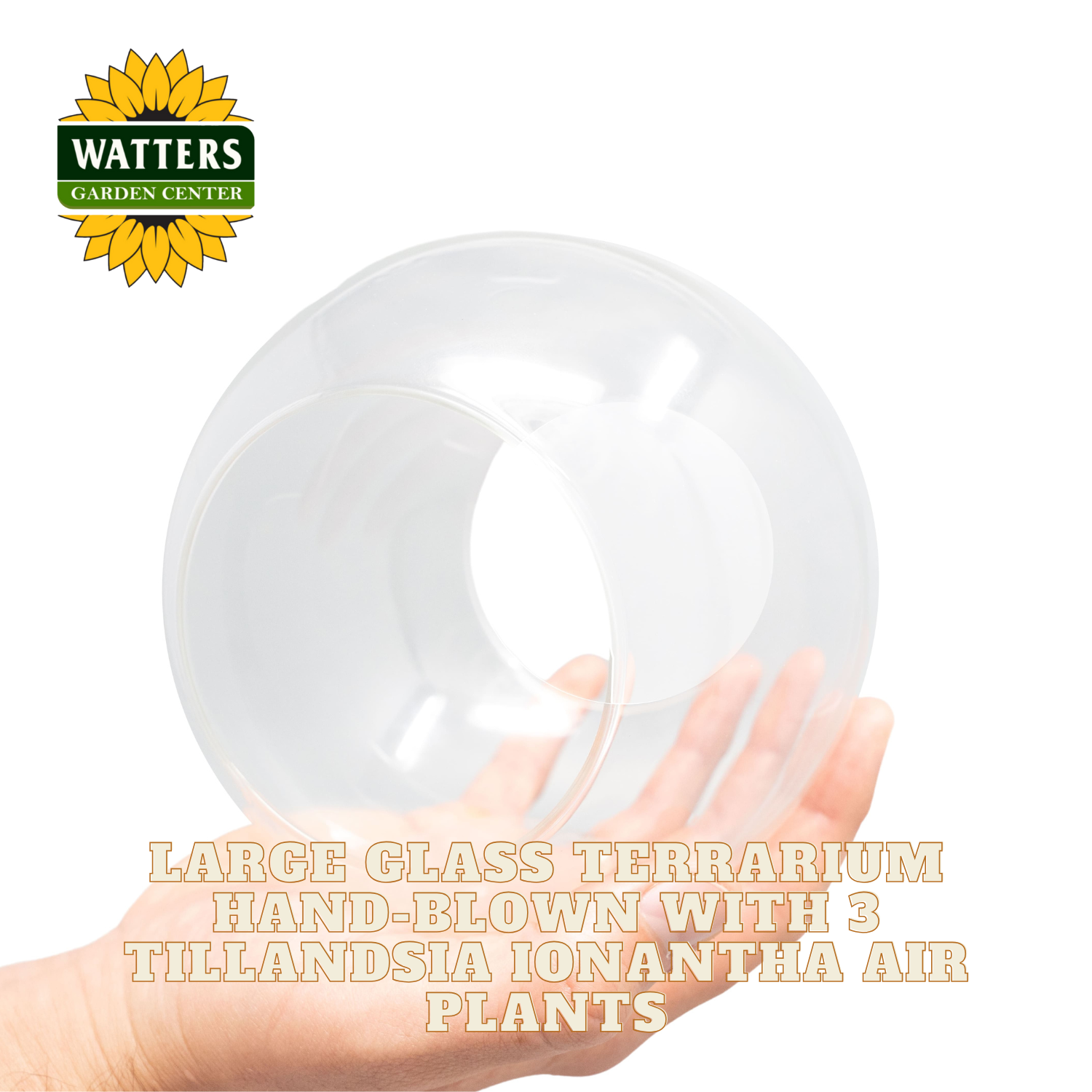 Large glass terrarium held in a hand with Watters Garden Center branding.