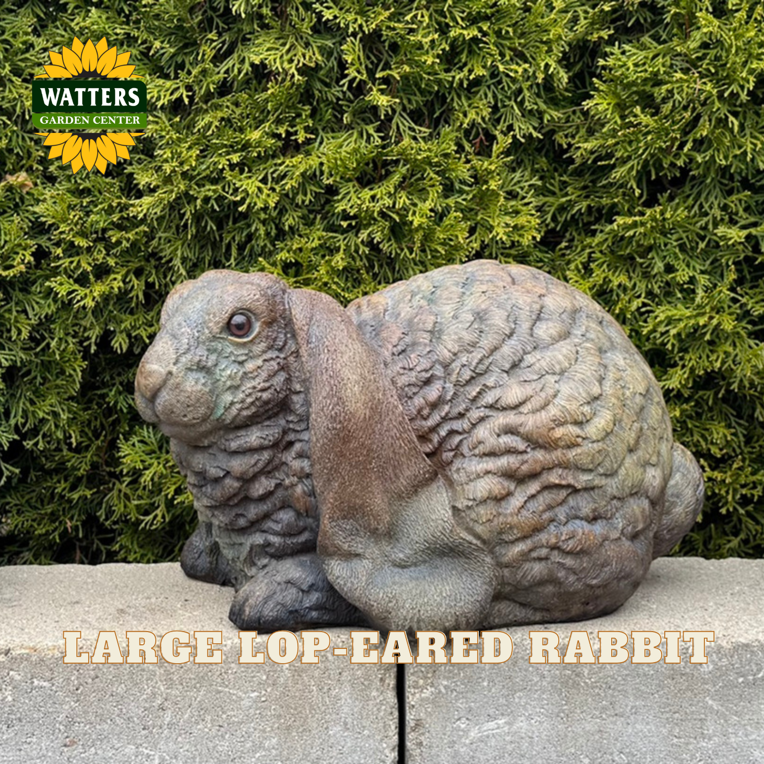 A large realistic lop-eared rabbit garden statue with textured fur in earthy brown and gray tones, placed on a stone surface in front of a green hedge. A Watters Garden Center logo appears in the top left, and text at the bottom reads 'LARGE LOP-EARED RABBIT'.