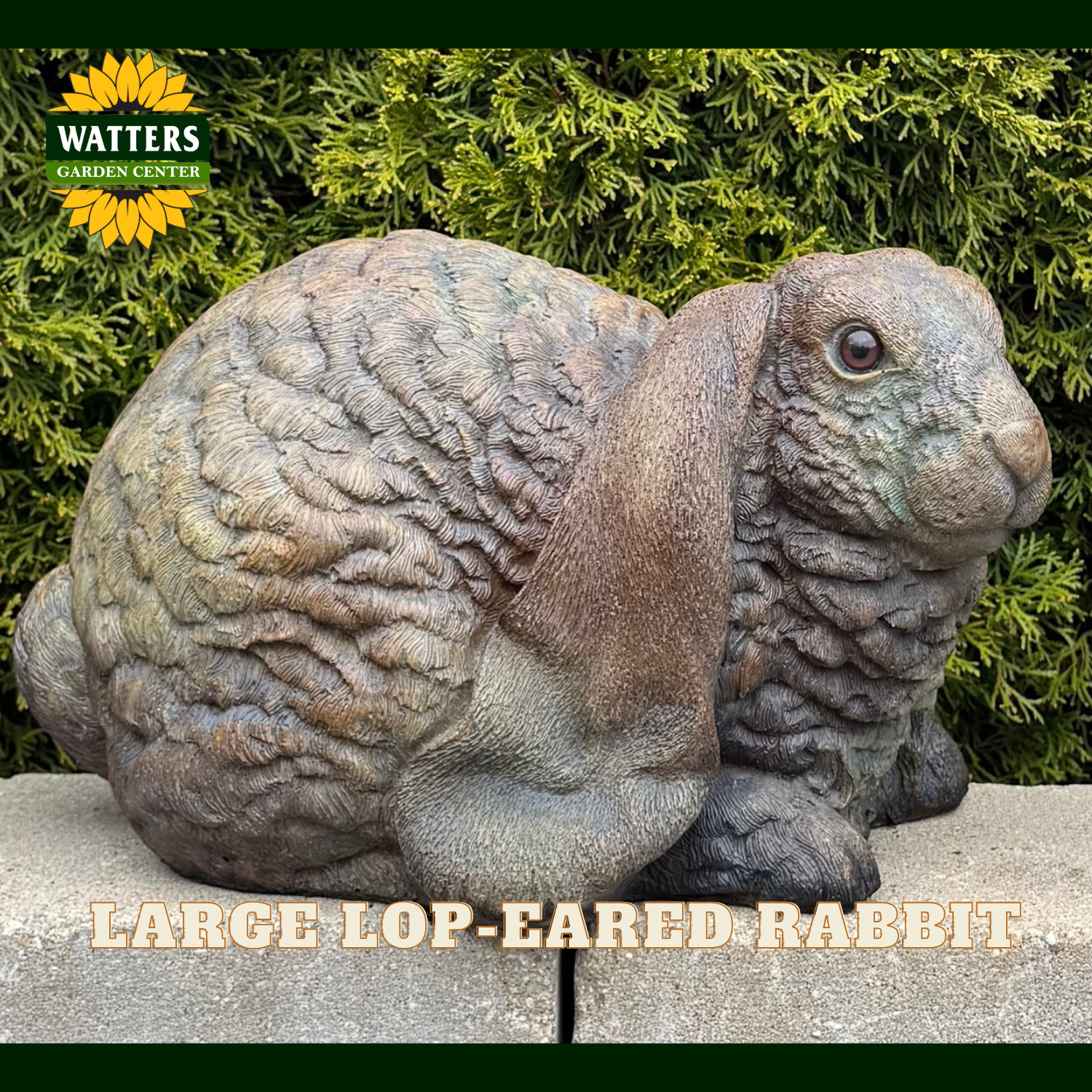 A large realistic lop-eared rabbit garden statue with textured fur, shown sitting on a stone surface in front of green foliage. The Watters Garden Center logo appears in the top left, and text at the bottom reads 'LARGE LOP-EARED RABBIT'.