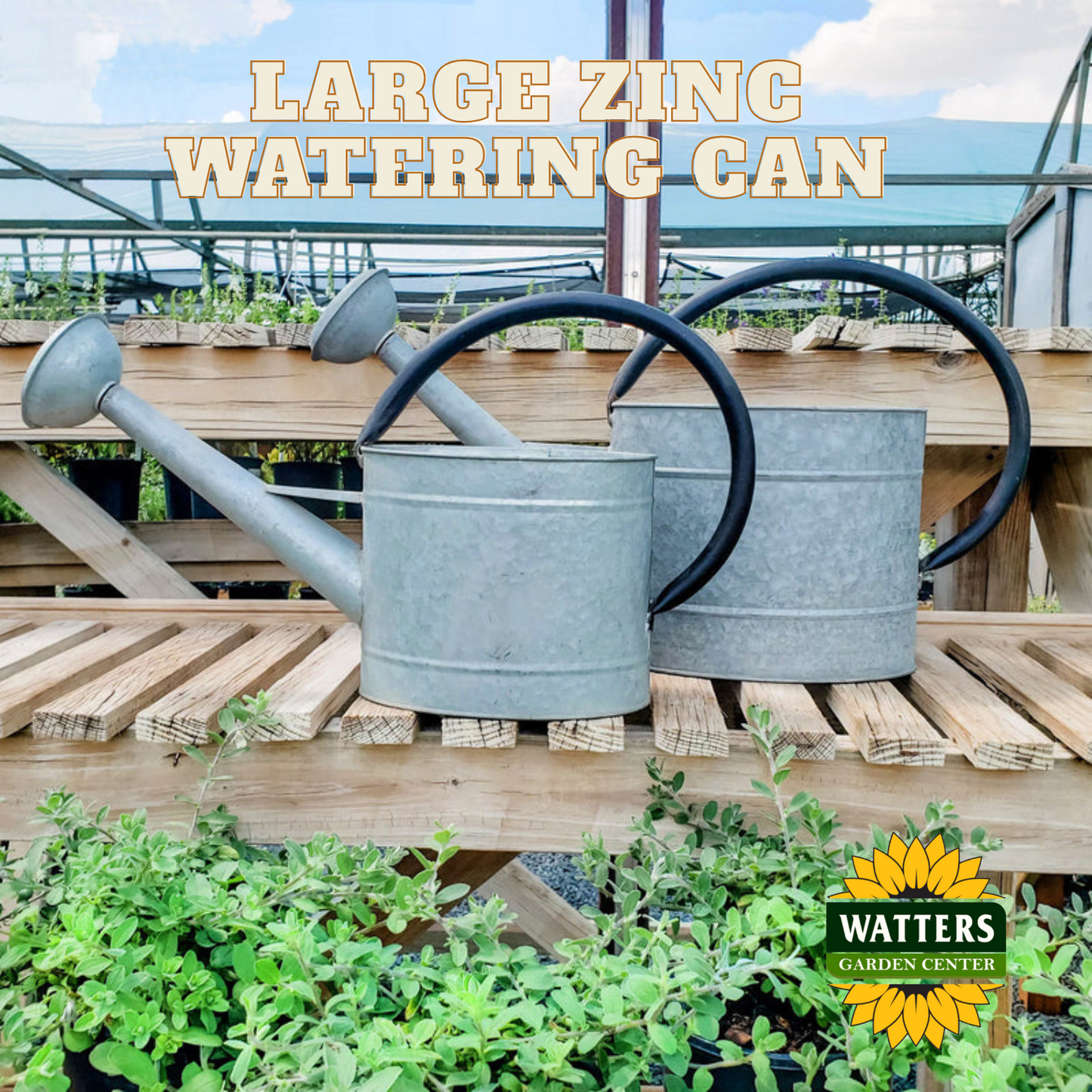 Large Zinc Watering Can - 2.1 gal