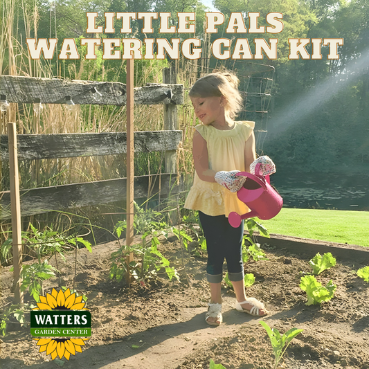 Little Pals Watering Can Kit - Pink
