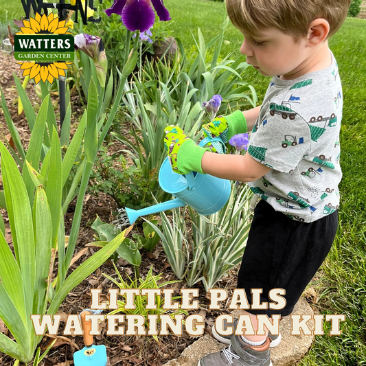 Little Pals Watering Can Kit - Blue