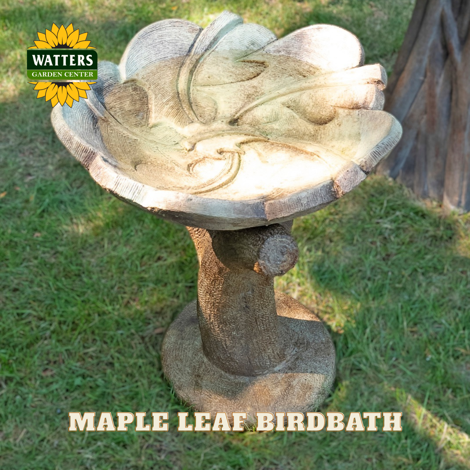 Maple leaf birdbath with Watters Garden Center logo on a grassy background