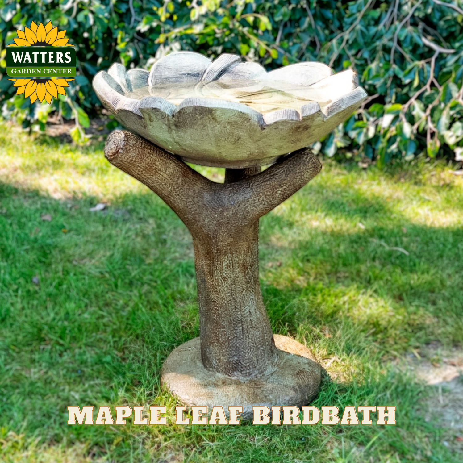Maple leaf birdbath with Watters Garden Center logo on a grassy background
