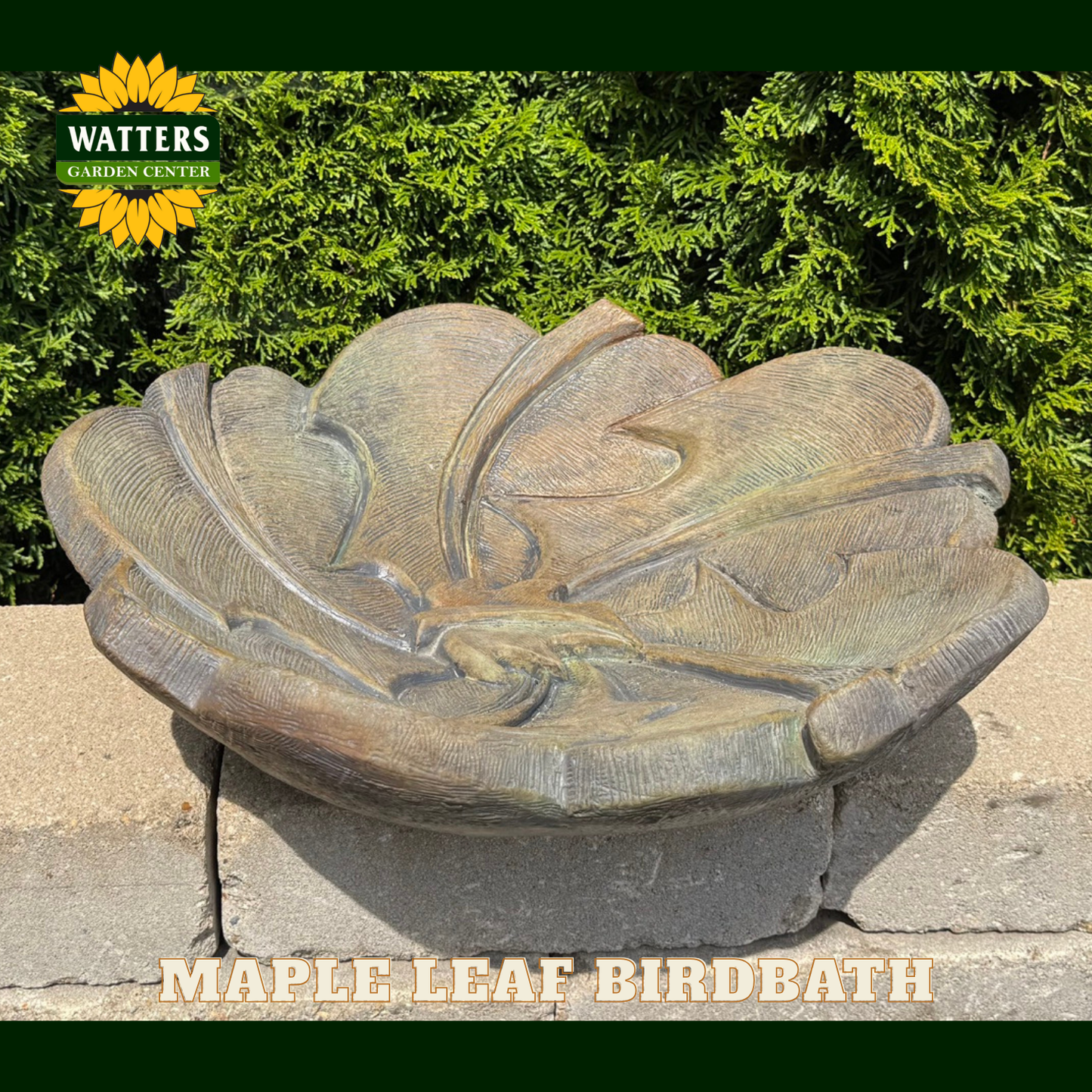 Decorative maple leaf birdbath with Watters Garden Center branding in the background.