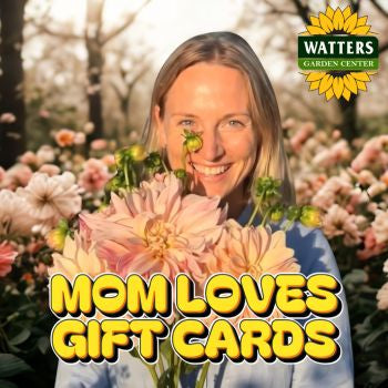 Watters Garden Center Gift Card