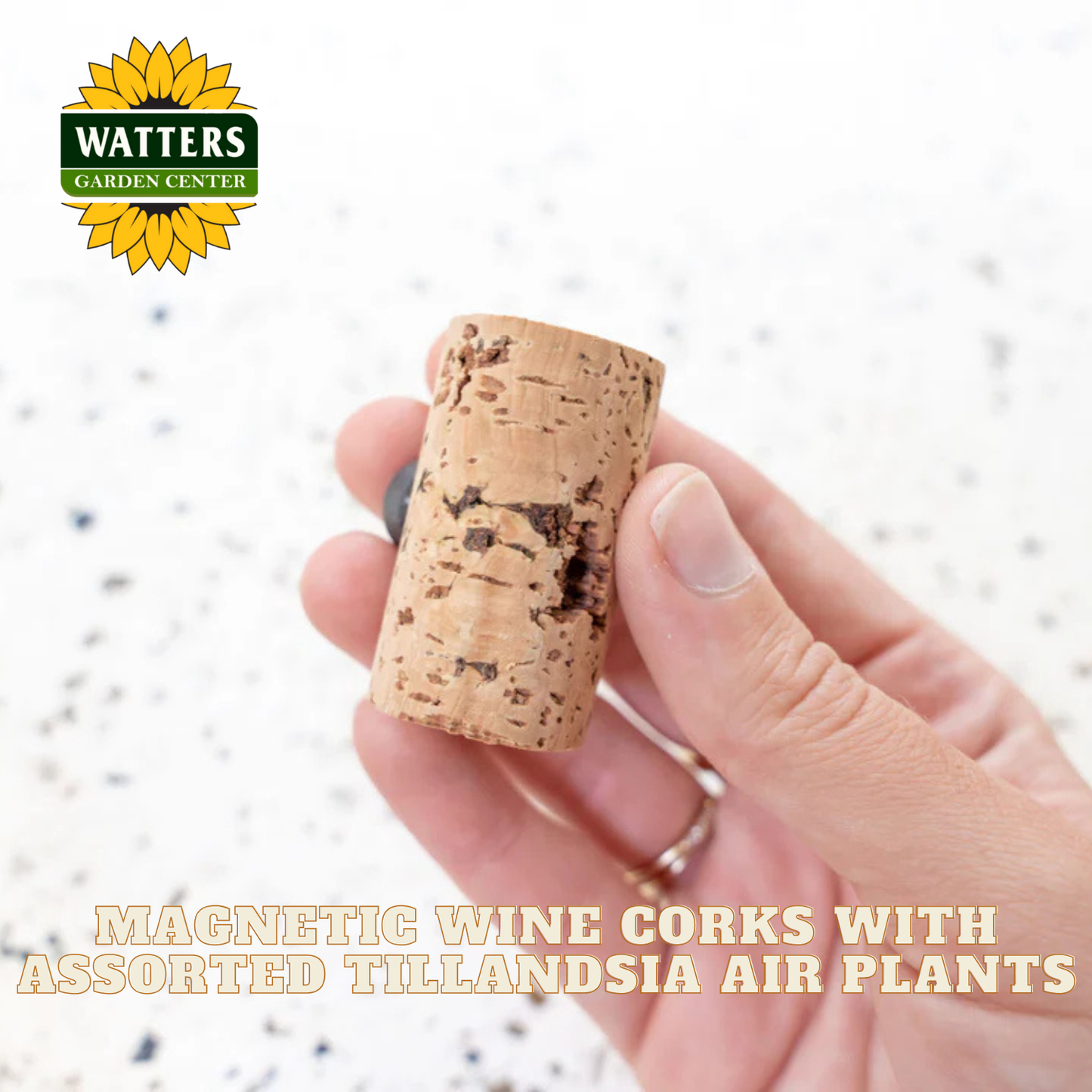 Cork with text about magnetic wine corks and Tillandsia air plants, featuring Watters Garden Center logo.