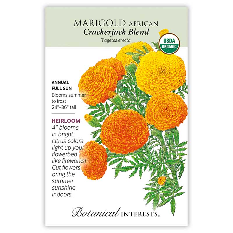 SEEDS 349