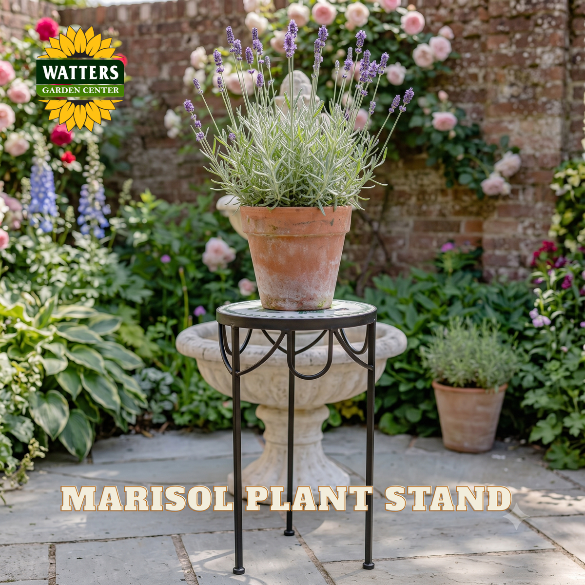 A terracotta potted lavender plant displayed on a black metal plant stand in a garden courtyard. The Watters Gardens Center logo is visible in the top left, and the text 'MARISOL PLANT STAND' appears at the bottom.
