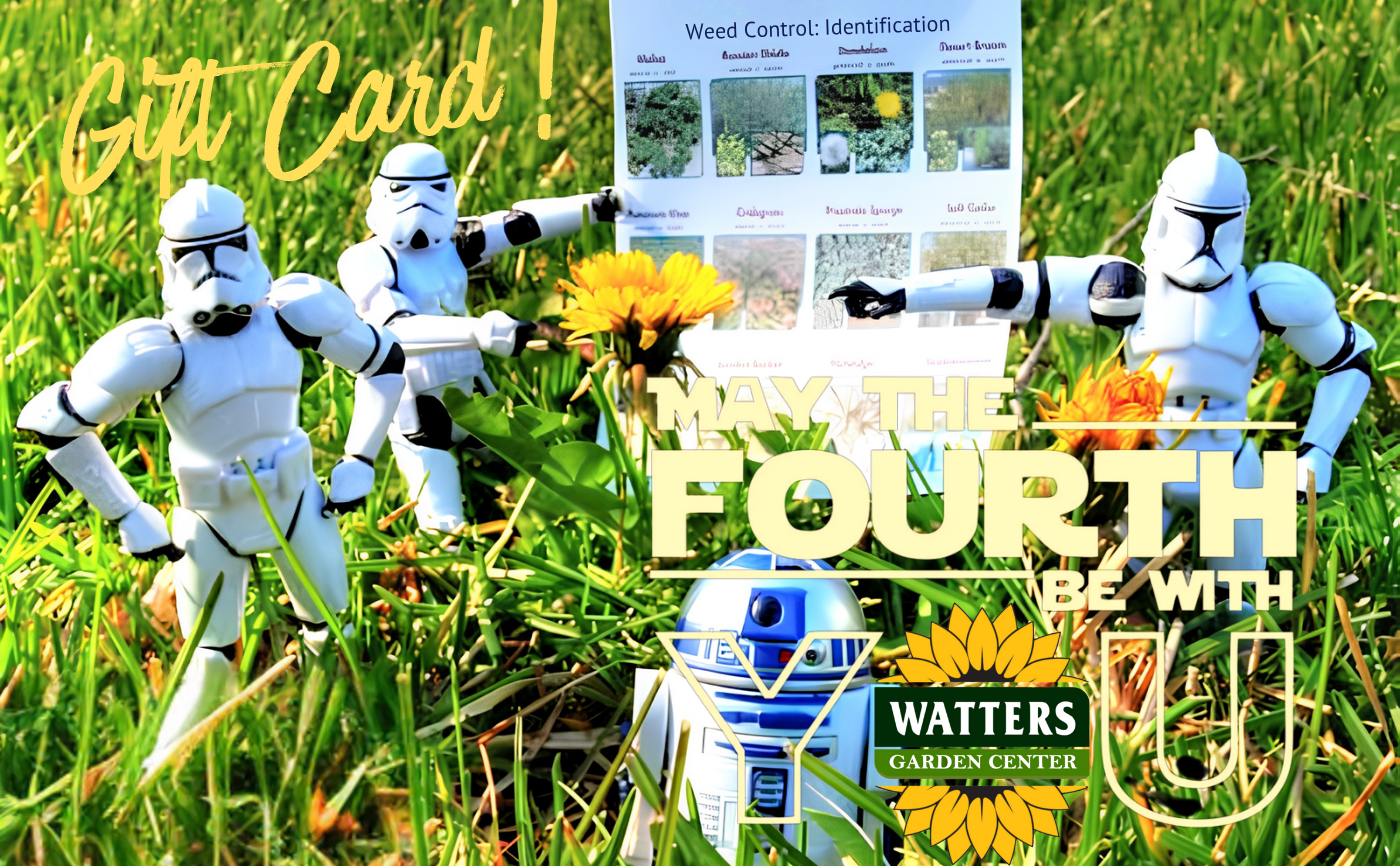 Watters Garden Center Gift Card