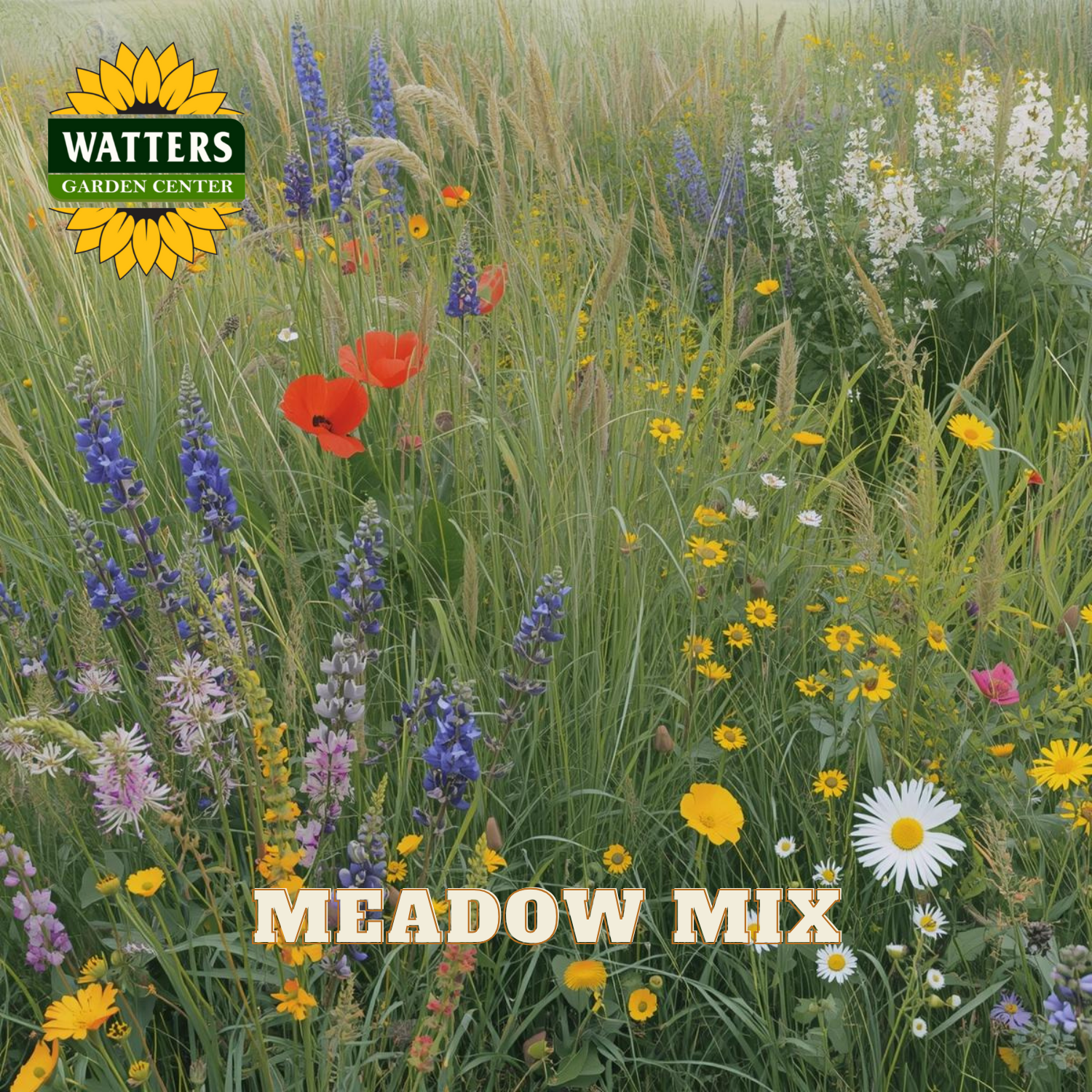 Wildflower meadow with colorful flowers and Watters Garden Center logo.