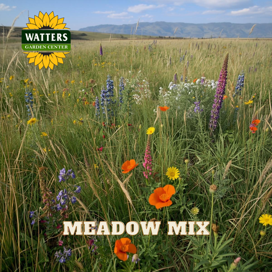 Meadow with wildflowers and mountains in the background, featuring Watters Garden Center logo.