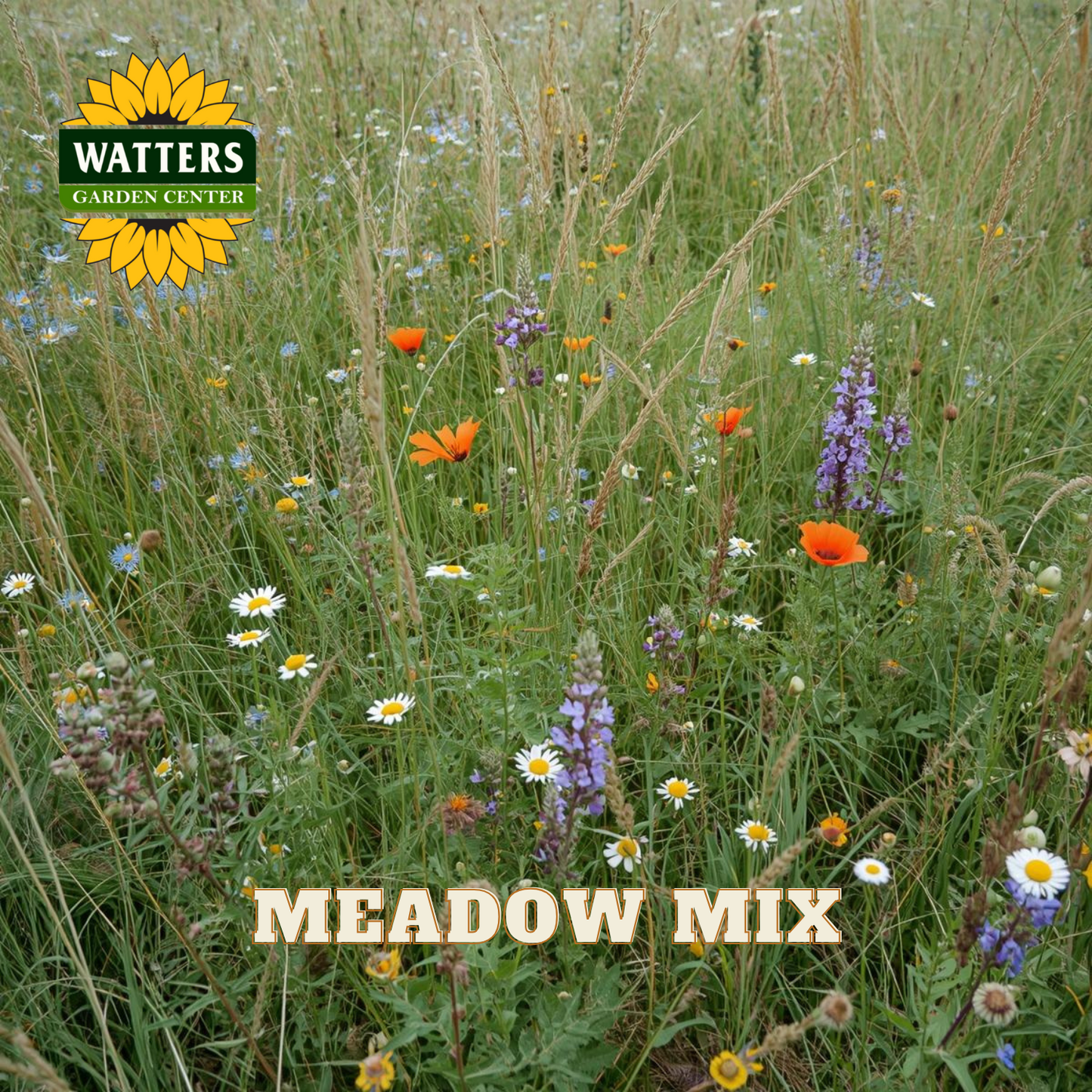 Wildflower meadow with Watters Garden Center logo and 'Meadow Mix' text.