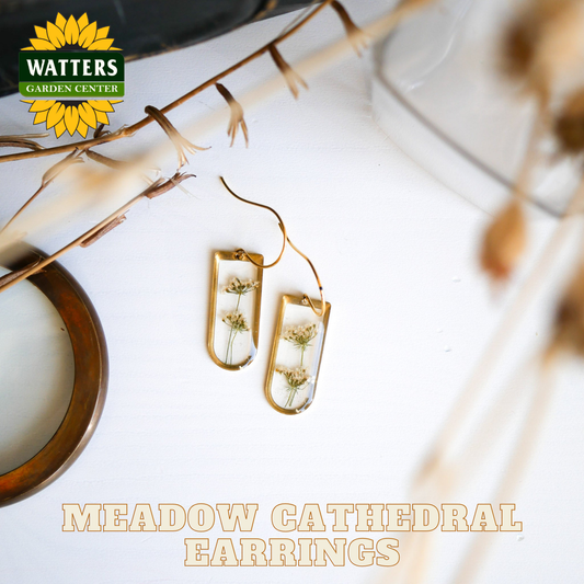 Gold earrings with dried flowers on a white surface with Watters Garden Center branding.