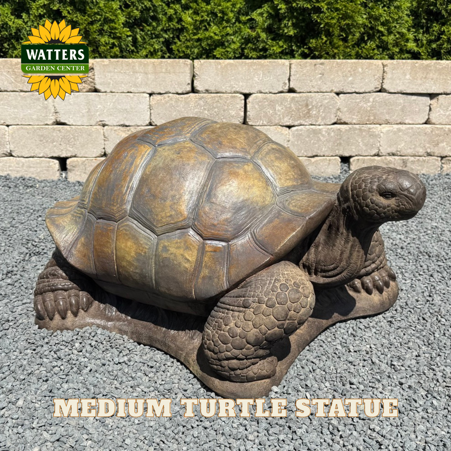 Turtle statue on gravel with Watters branding.