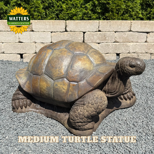 Turtle statue on gravel with Watters branding.