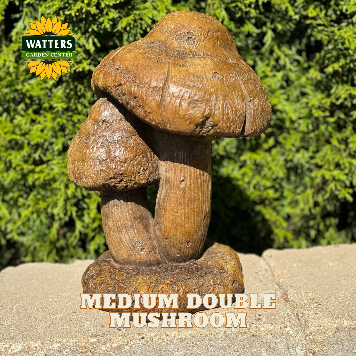 A carved wooden garden statue shaped like two double mushrooms, displayed outdoors on a stone surface with green foliage in the background. The Watters Gardens Center logo is visible in the top-left corner, and the text 'MEDIUM DOUBLE MUSHROOM' is overlaid at the bottom.