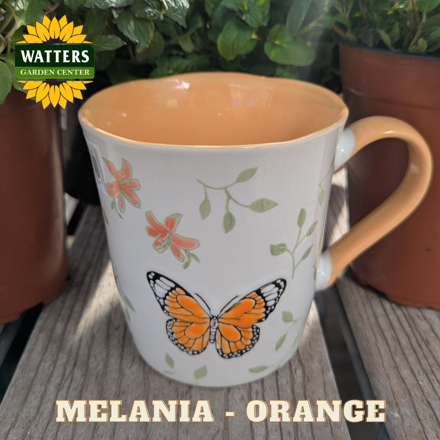 Mug with butterfly design on a wooden surface, Watters Garden Center branding visible