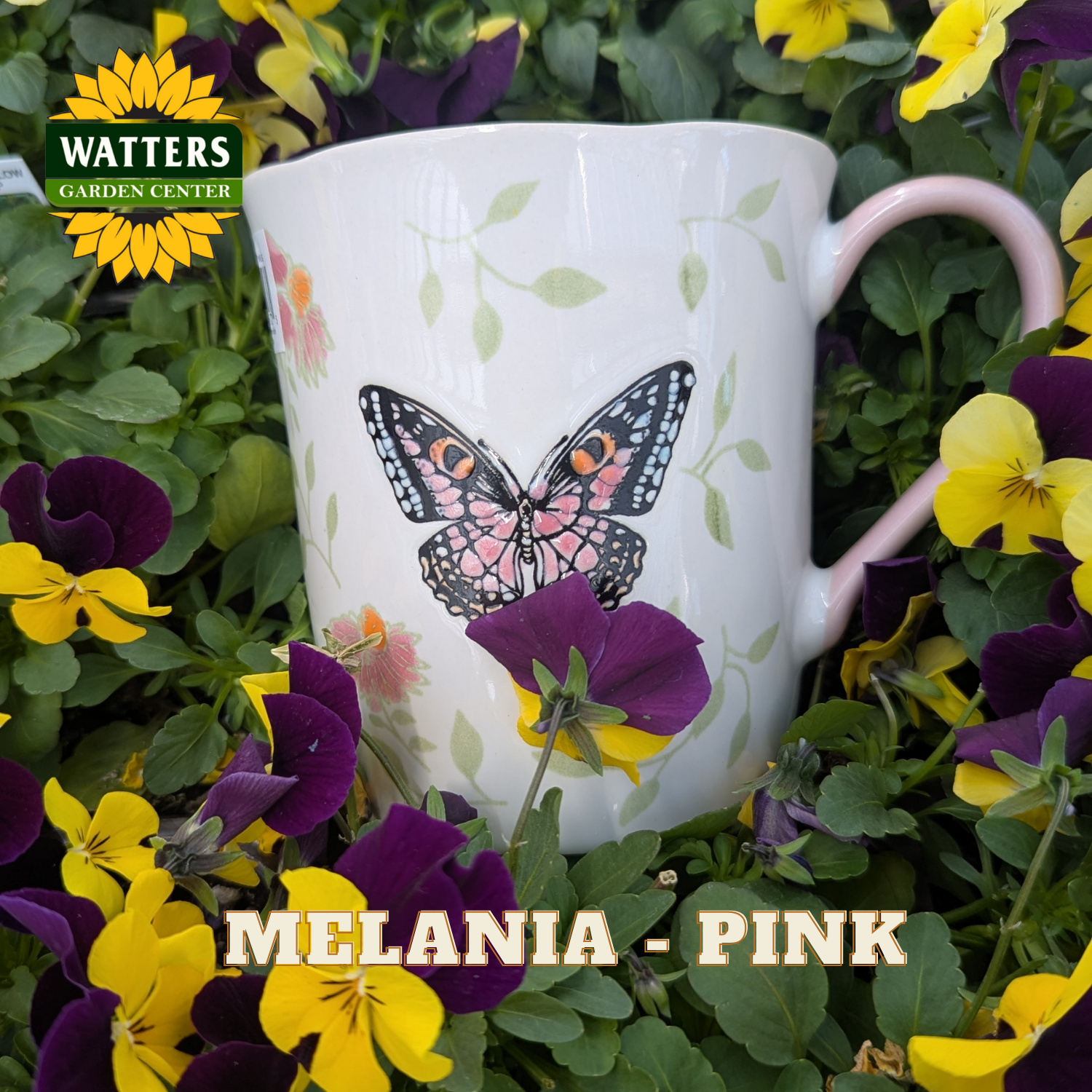 White mug with butterfly design in a bed of flowers, featuring Watters Garden Center branding.