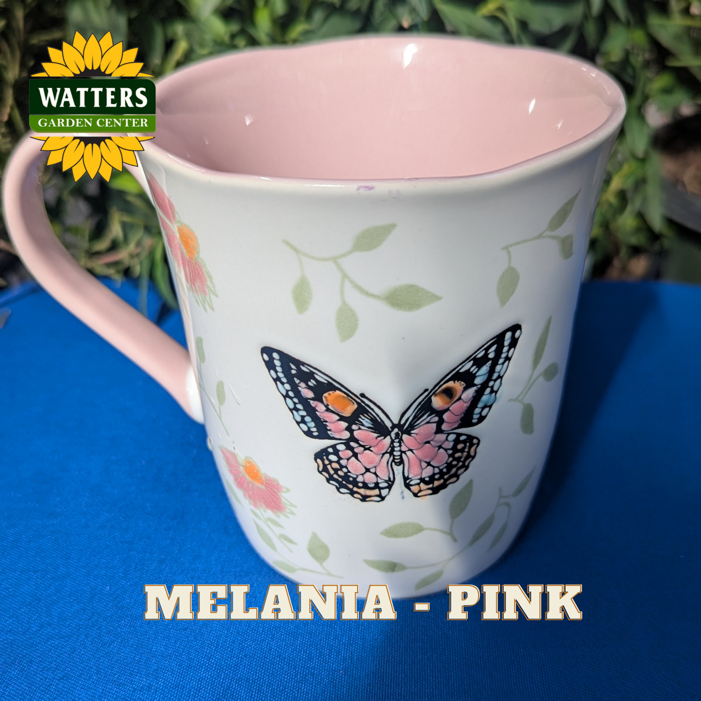 Pink mug with butterfly design on a blue surface, featuring Watters Garden Center logo.