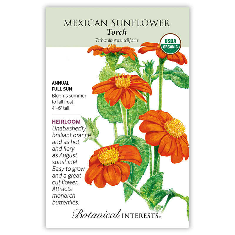 SEEDS 299