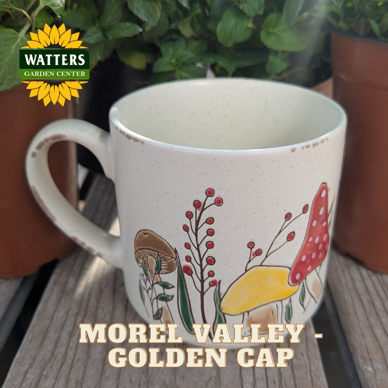 White mug with mushroom design on a wooden surface, Watters Garden Center logo visible