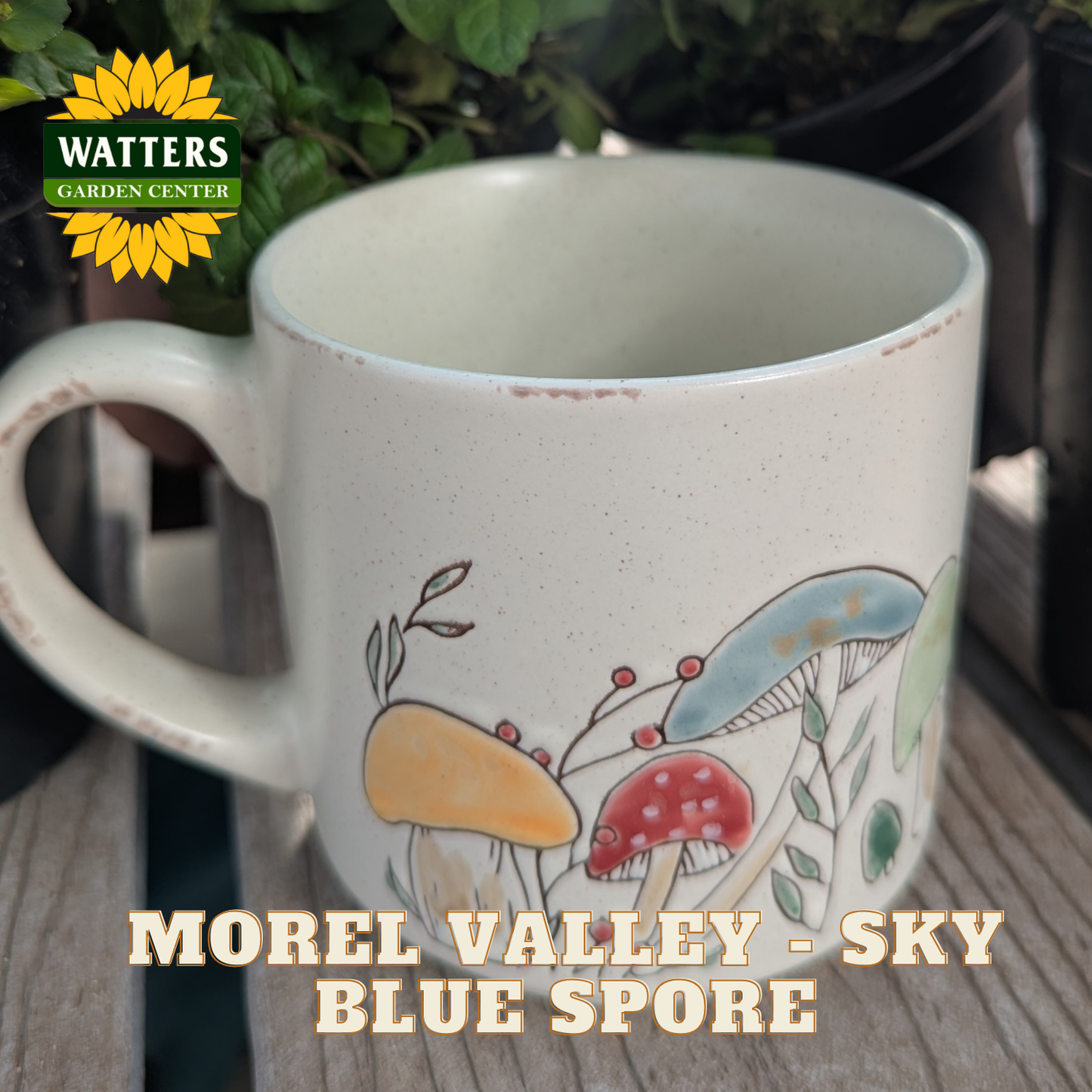 Ceramic mug with mushroom design on a wooden surface, featuring Watters Garden Center logo.