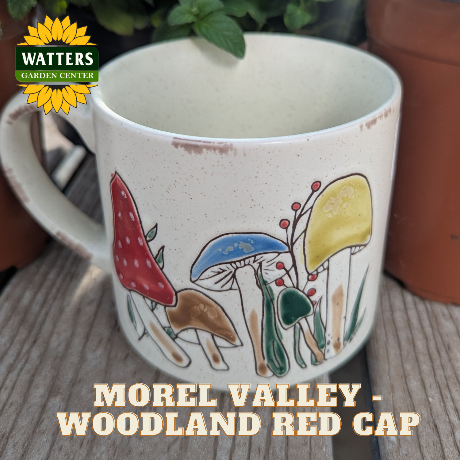 Mug with mushroom design on a wooden surface, featuring Watters Garden Center branding.