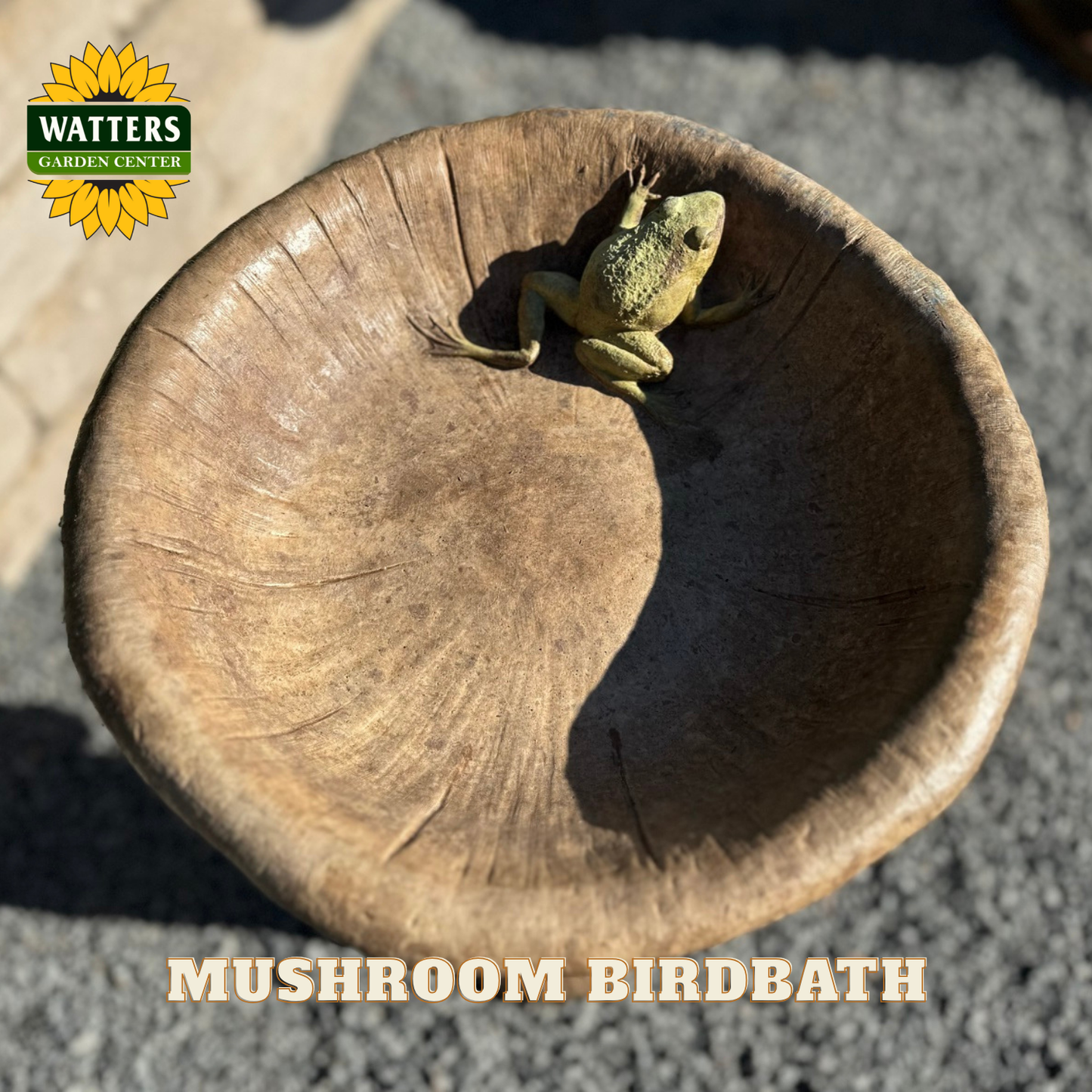 MUSHROOM BIRDBATH