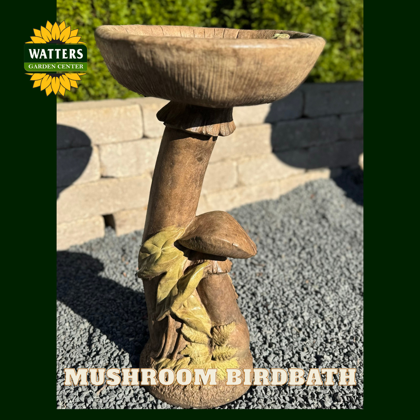 MUSHROOM BIRDBATH