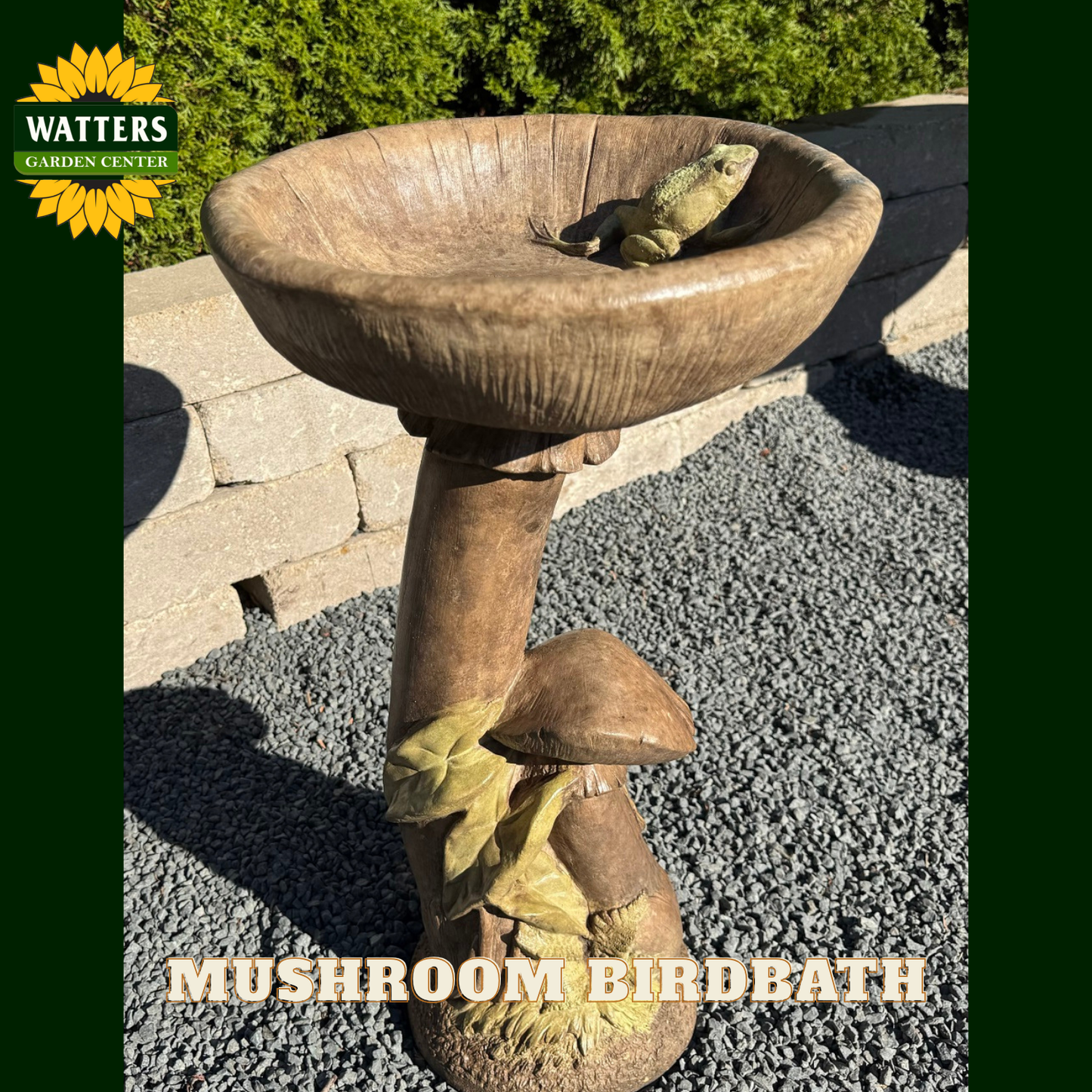 MUSHROOM BIRDBATH