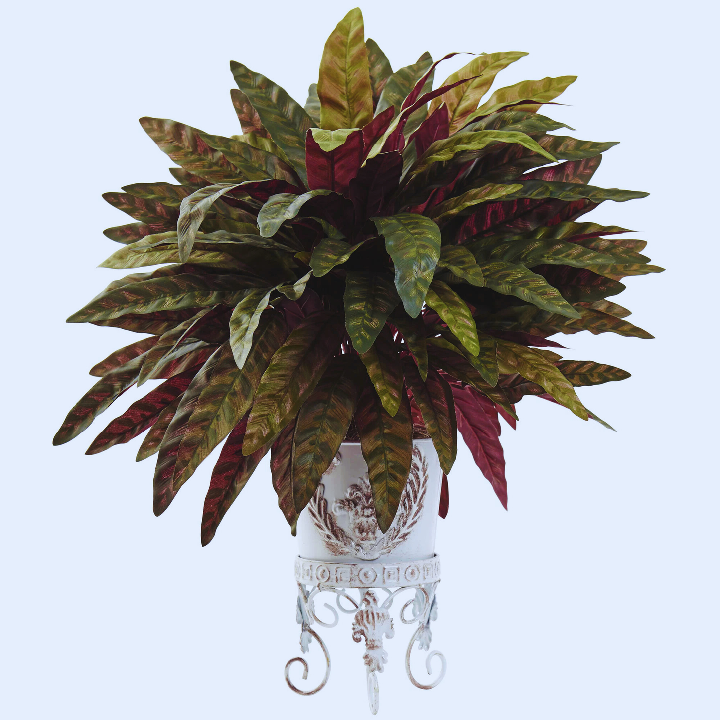 Pretty Peacock Bush in Metal Planter