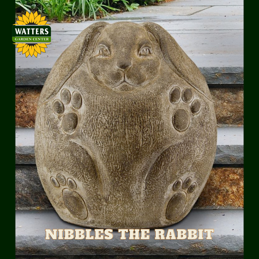 Nibbles the Rabbit statue on stone steps.