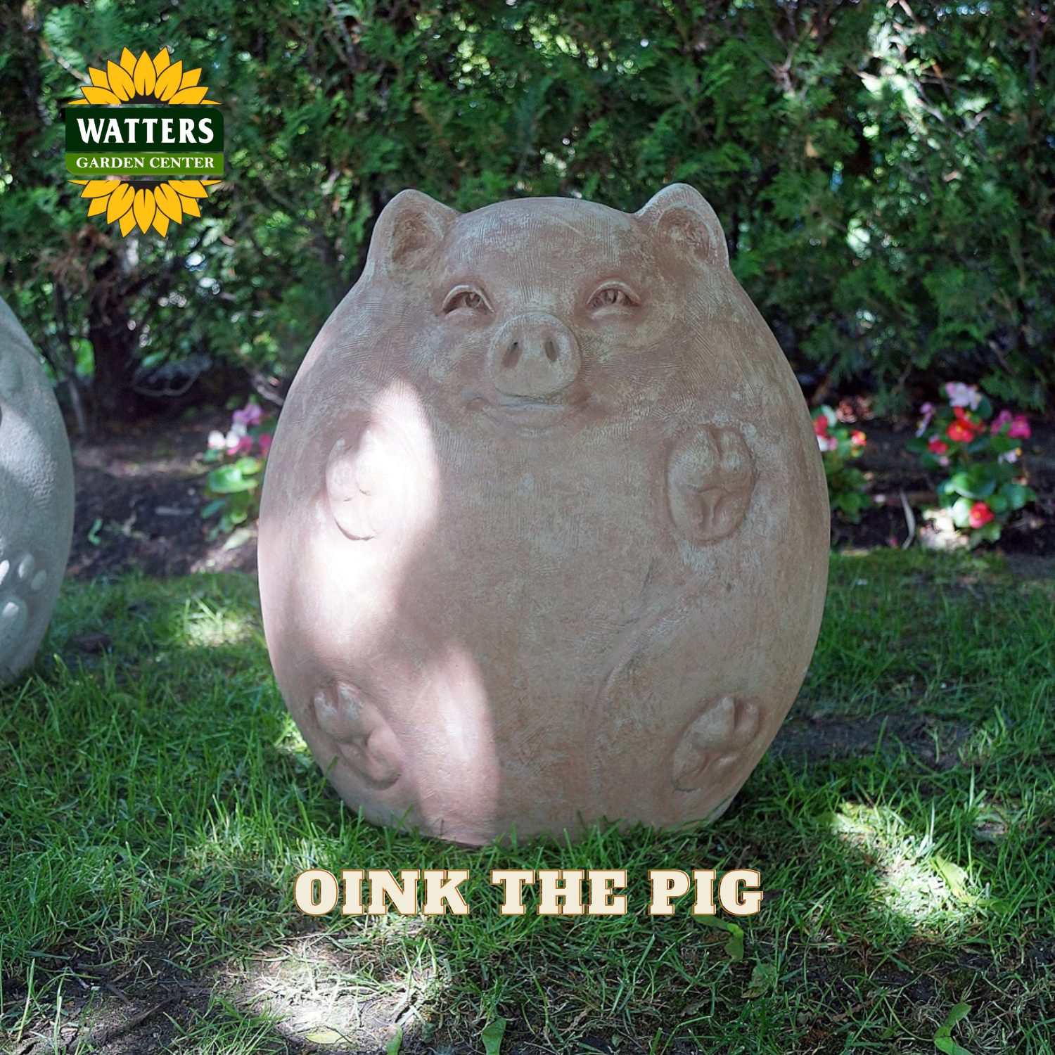 A round, pig-shaped garden statue in a sandy beige stone-like finish, sitting on green grass in a garden setting. The text 'OINK THE PIG' is displayed at the bottom, and the 'Watters Gardens Center' logo is in the top-left corner.
