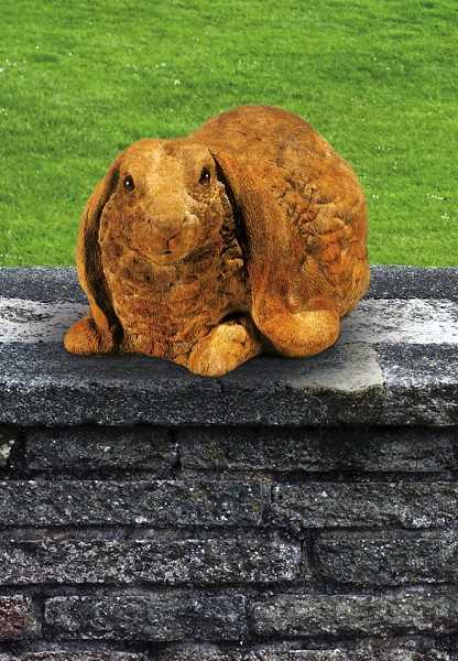 LARGE LOP-EARED RABBIT