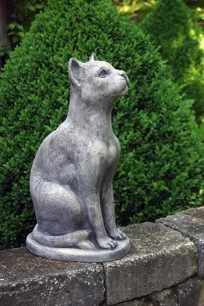SITTING CAT