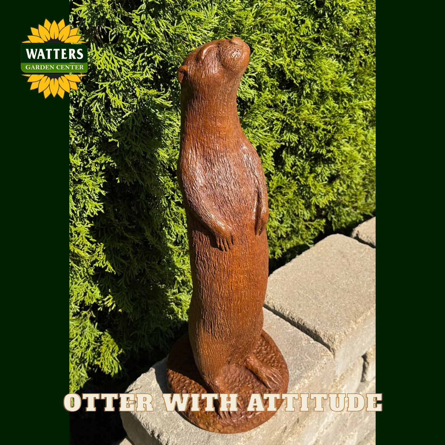 Brown otter standing on its back legs in a garden setting with the Watters logo.