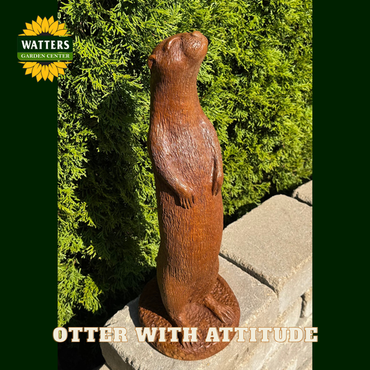 Brown otter standing on its back legs in a garden setting with the Watters logo.